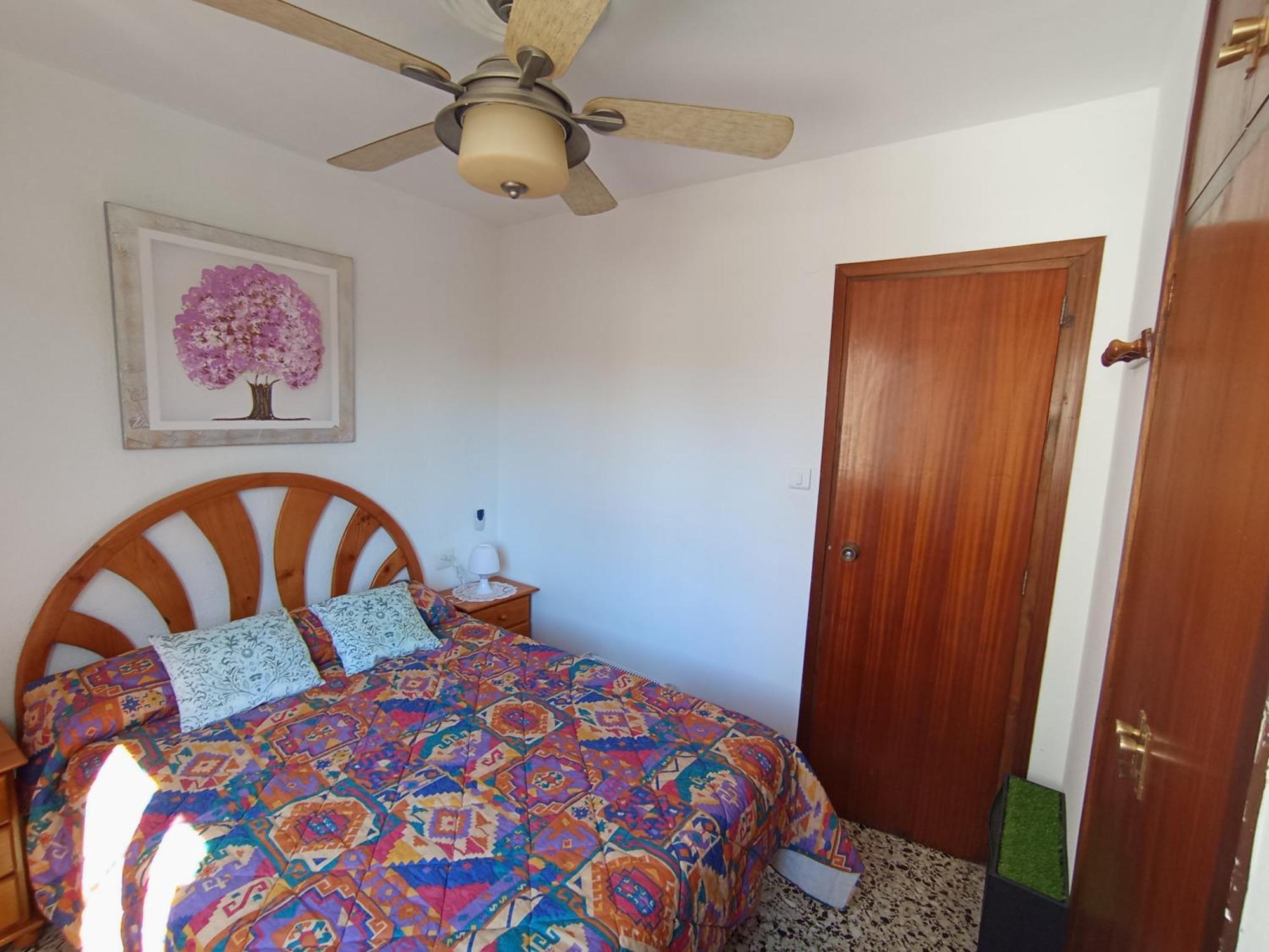 Apartamento 3 Paupi Oliva Eksteriør billede